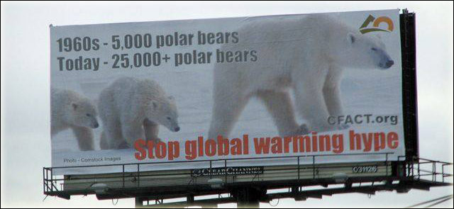 polar bear numbers
